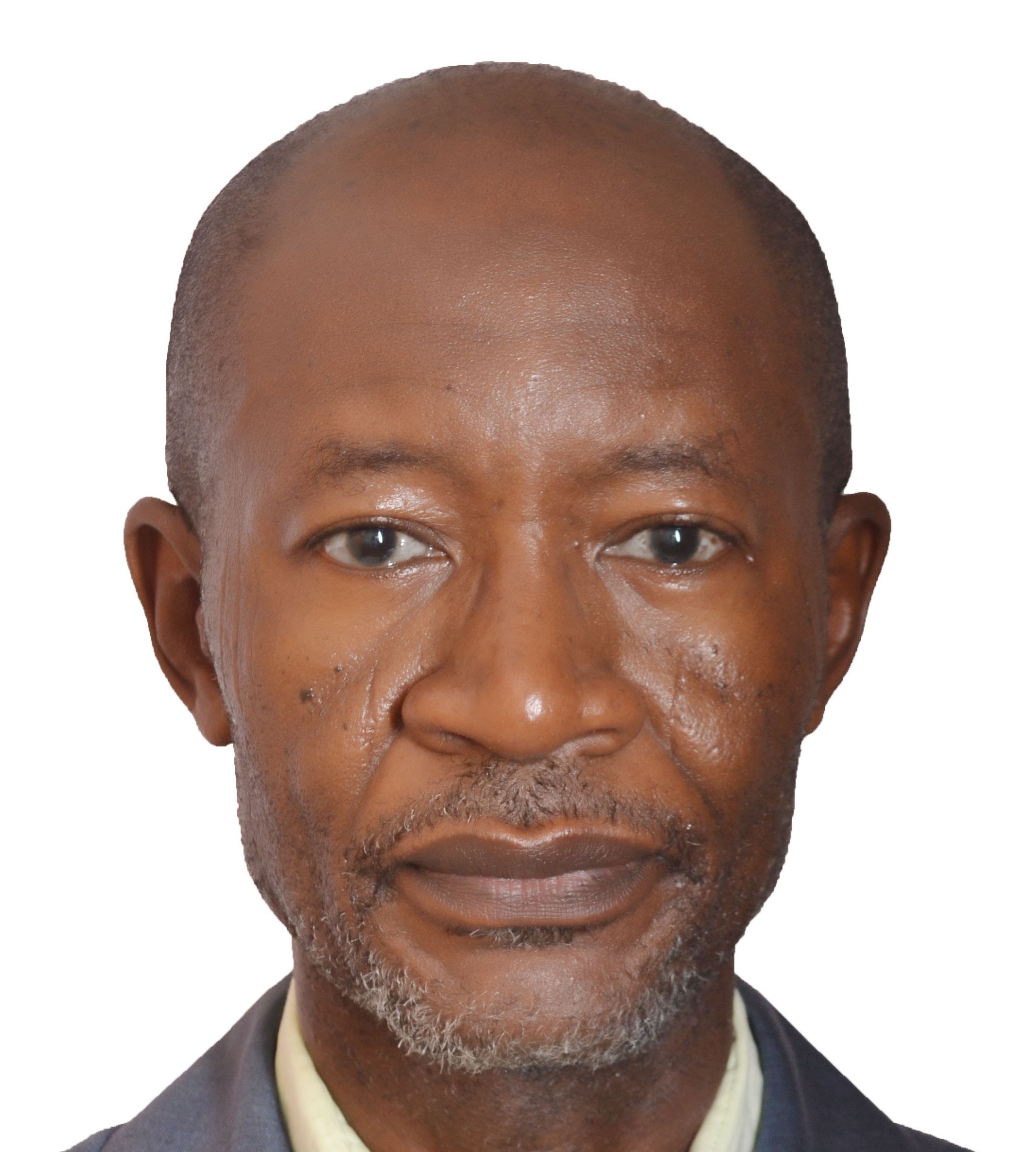Saidu Minin Mohammed